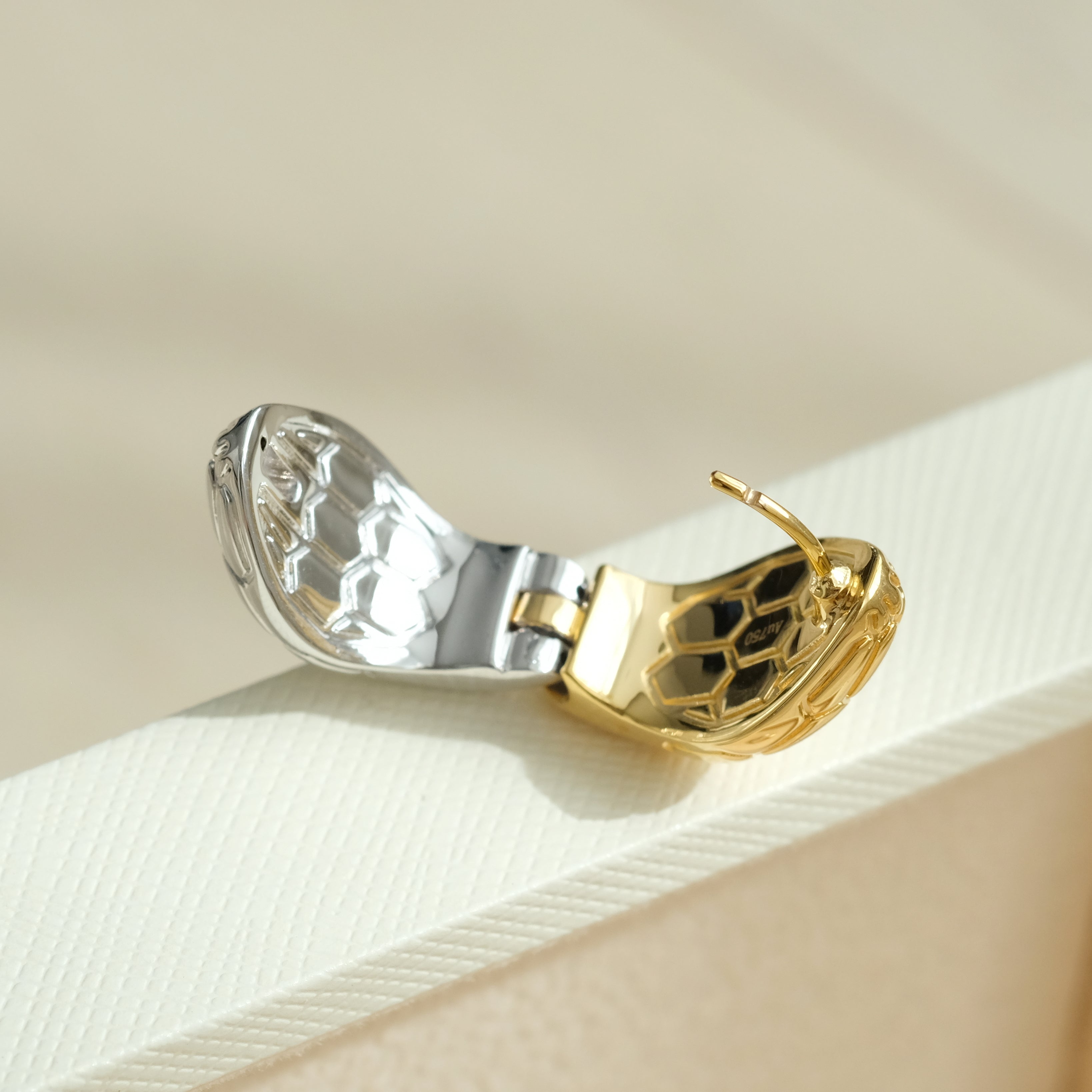 Two Tone Snake Hoop