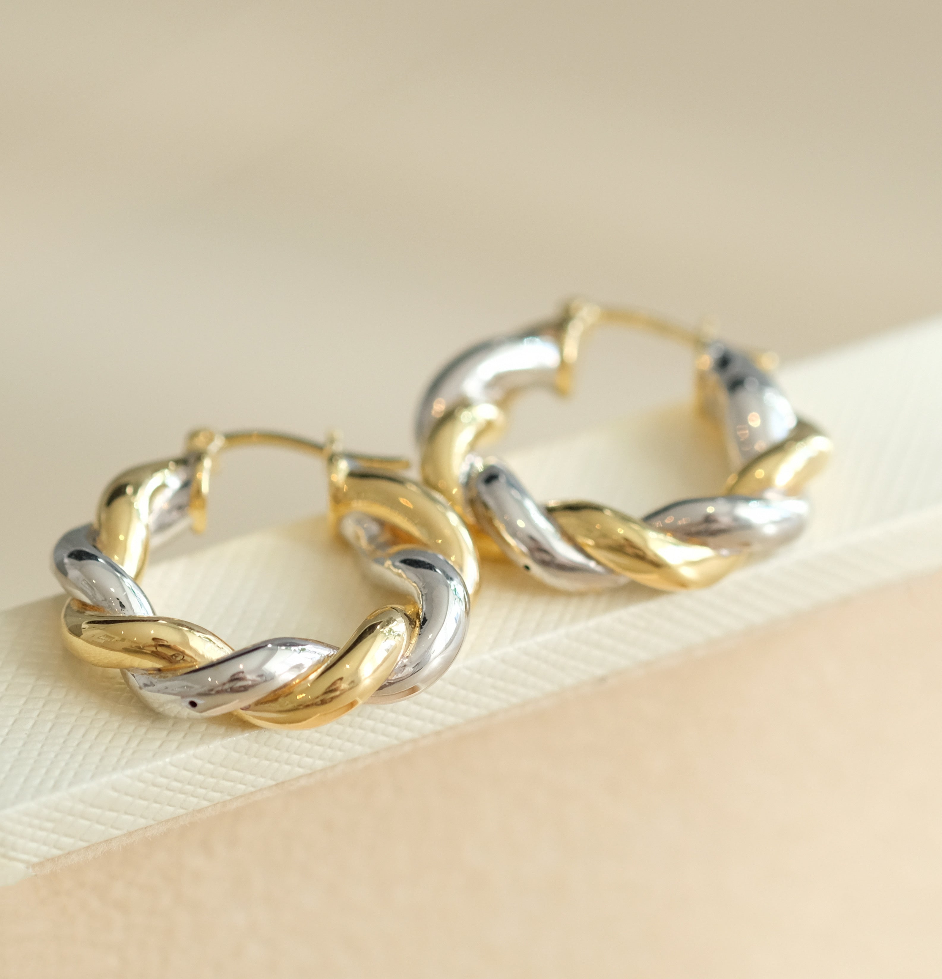 Two Tone Chunky Twist Hoop