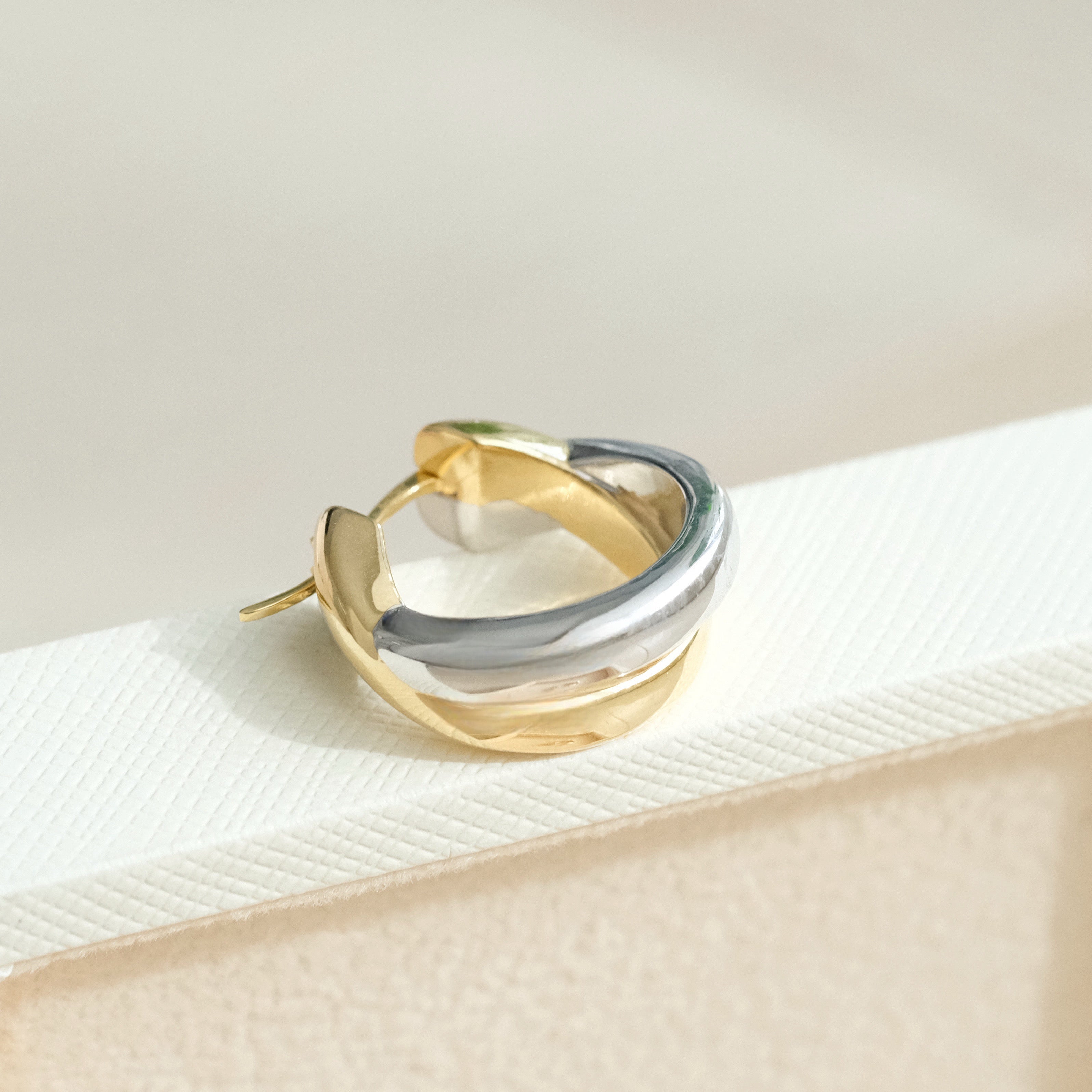 Two Tone Intertwined Hoop