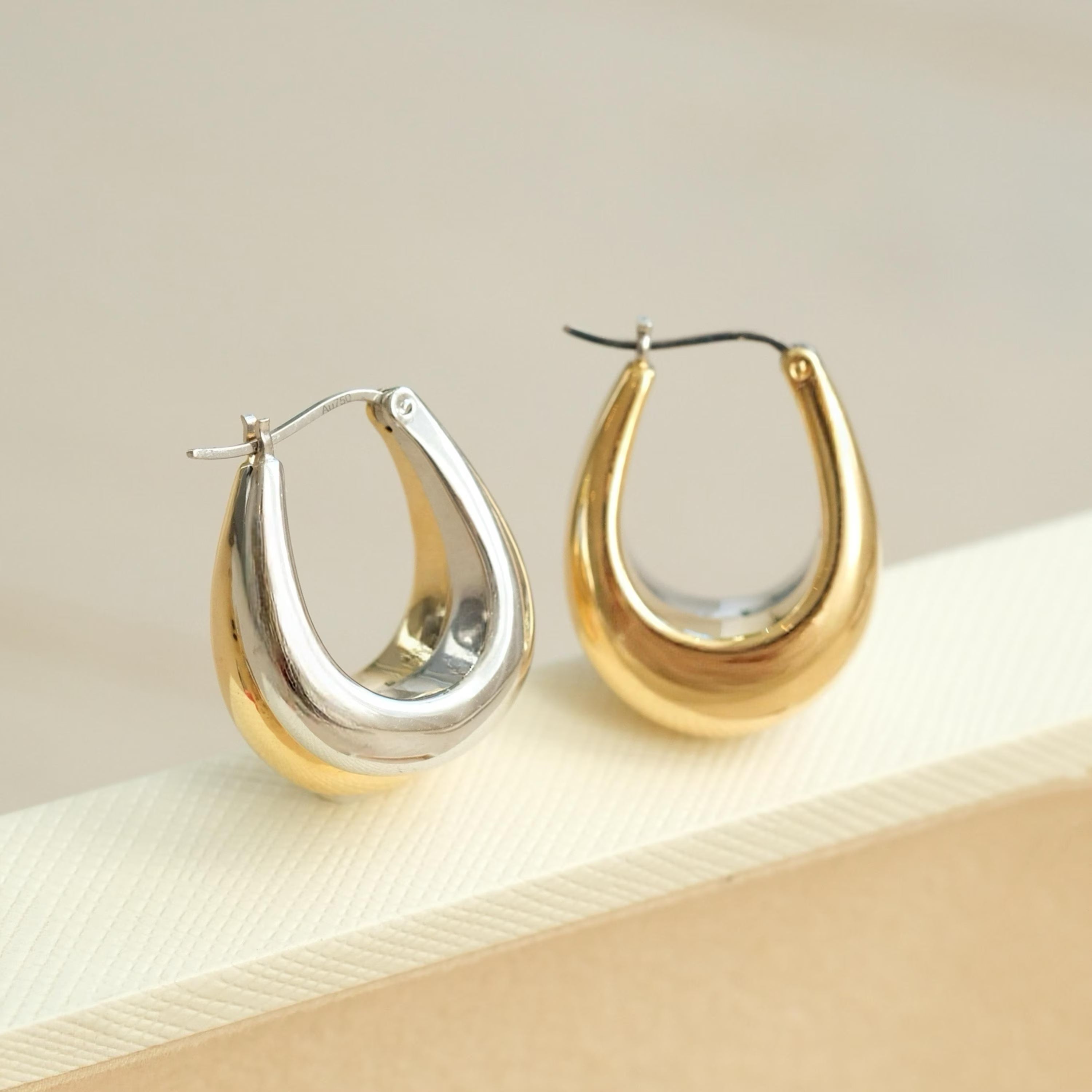 Two Tone Double Hoops