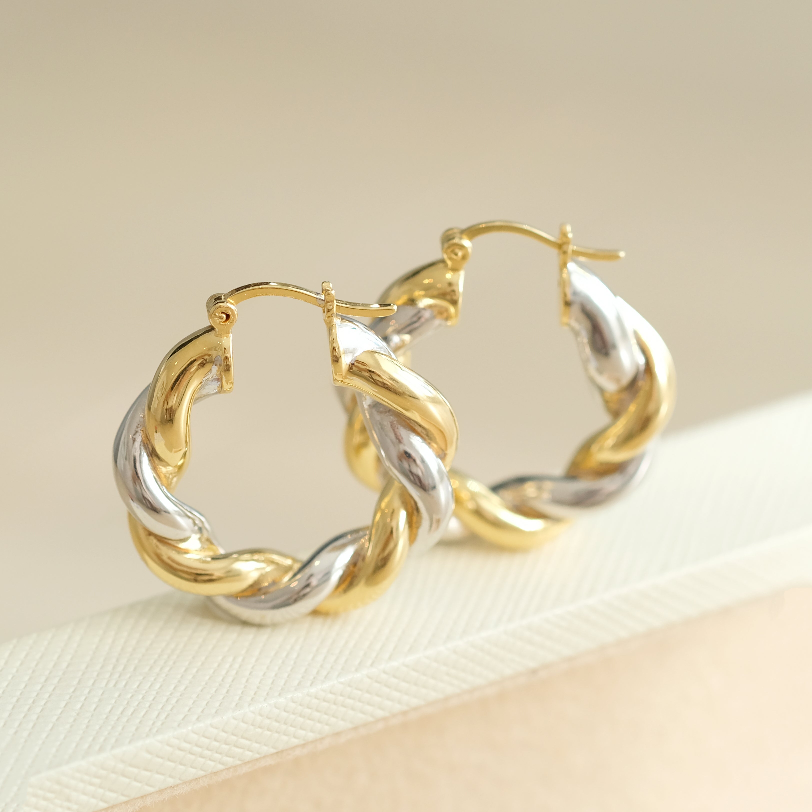 Two Tone Chunky Twist Hoop