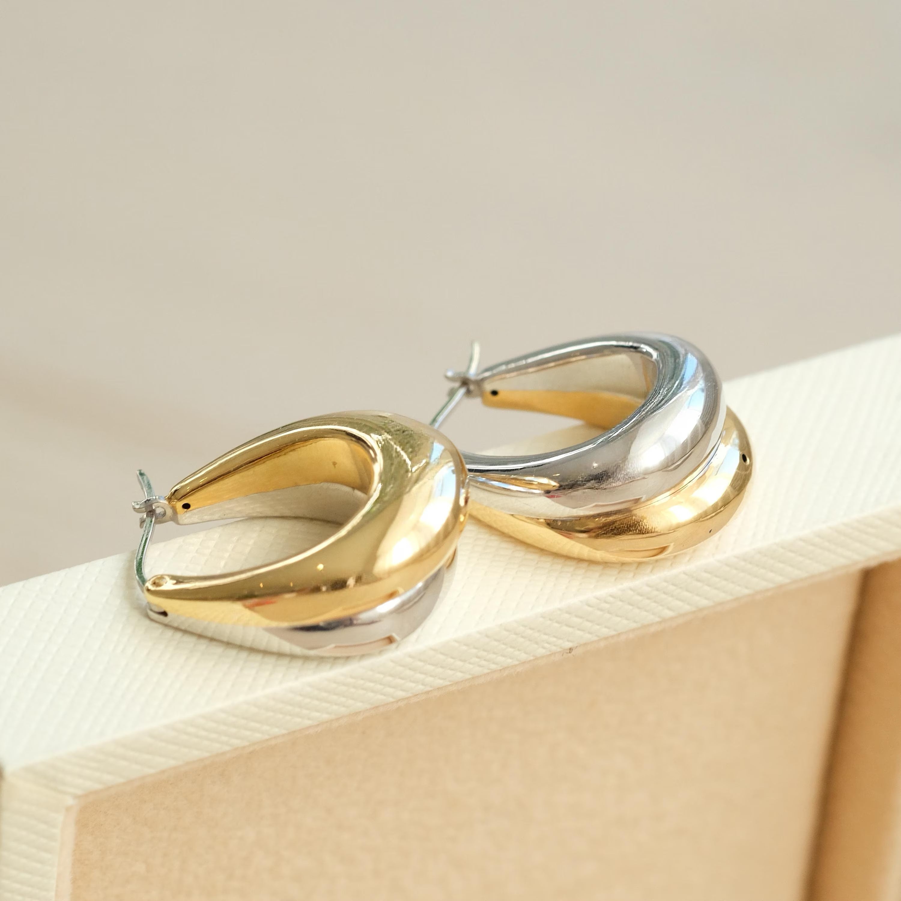 Two Tone Double Hoops
