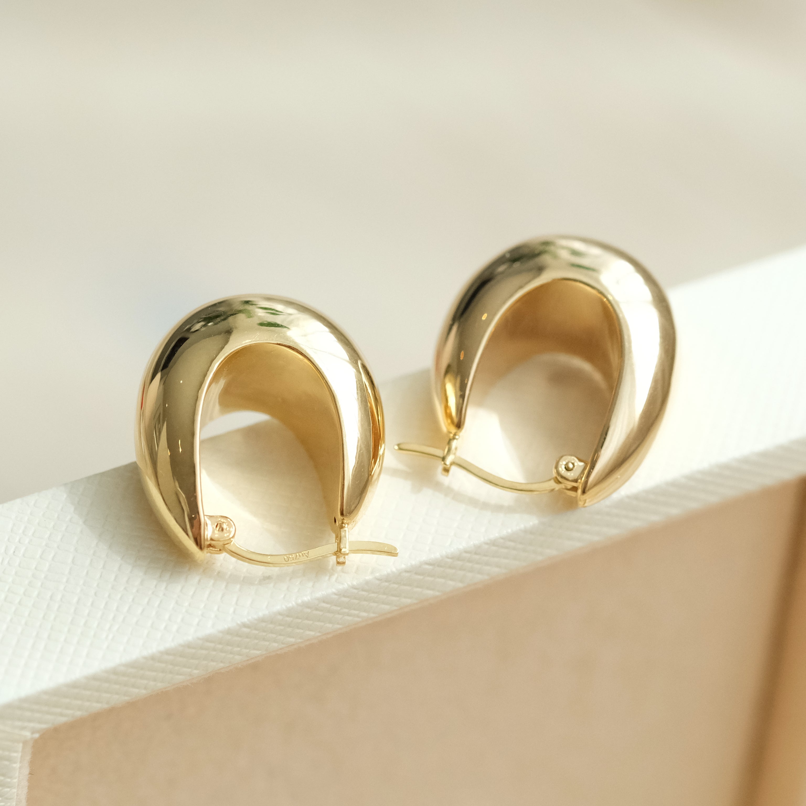 Sculptural Hoops