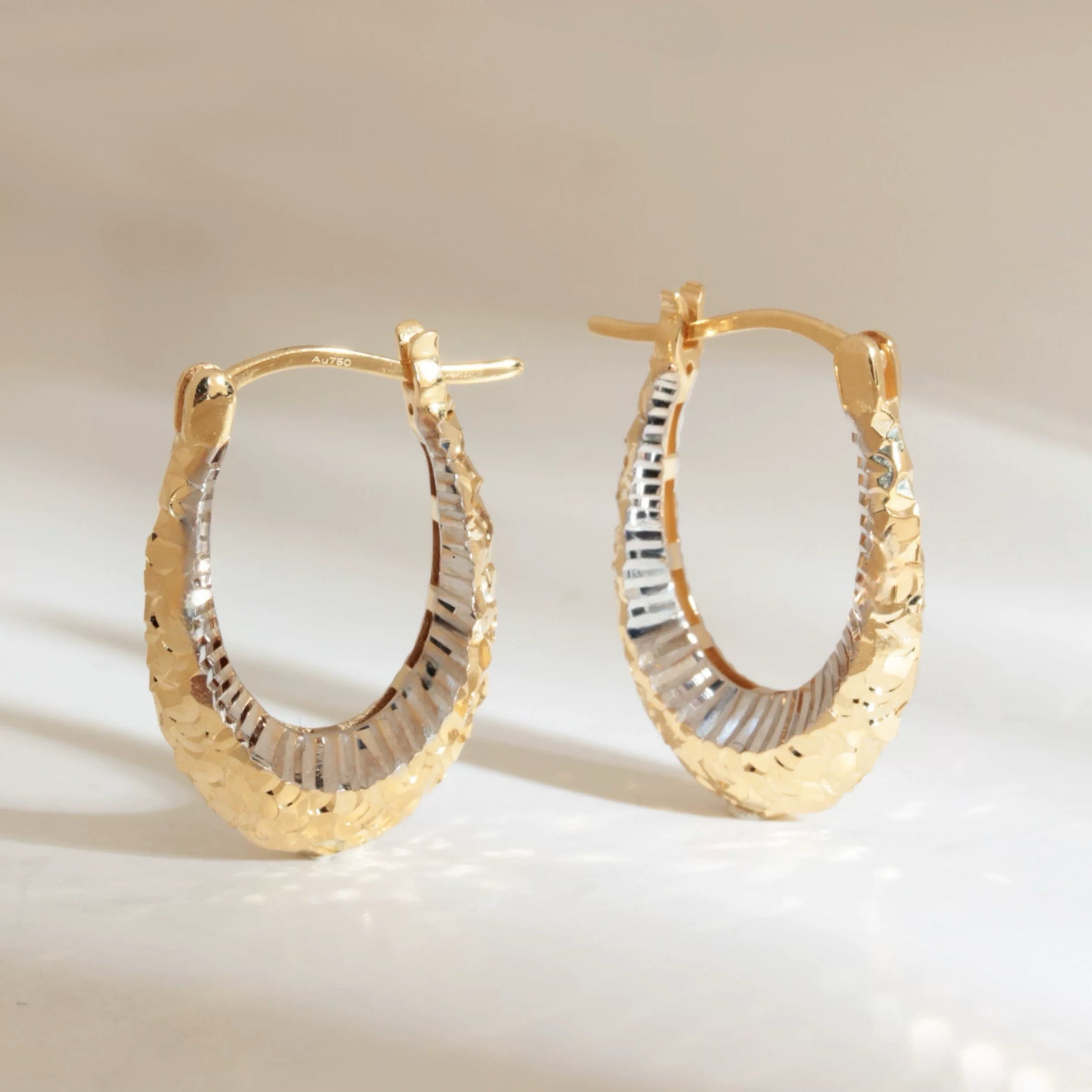 Two Tone Oval Earrings