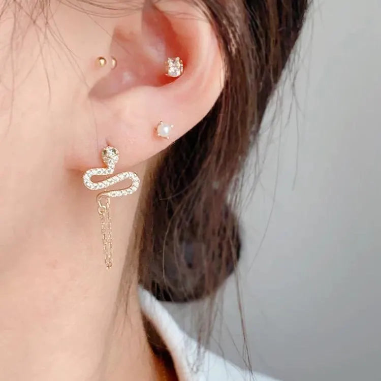 Snake Chain Earrings