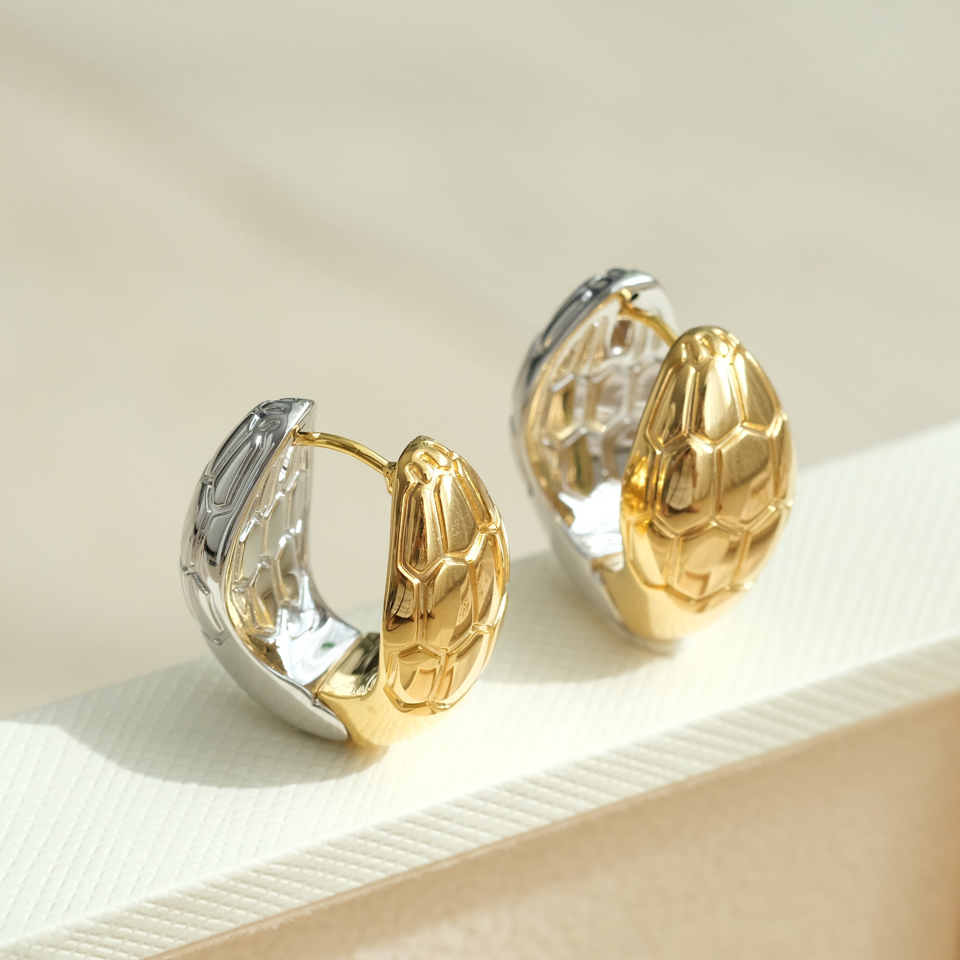 Two Tone Snake Hoop
