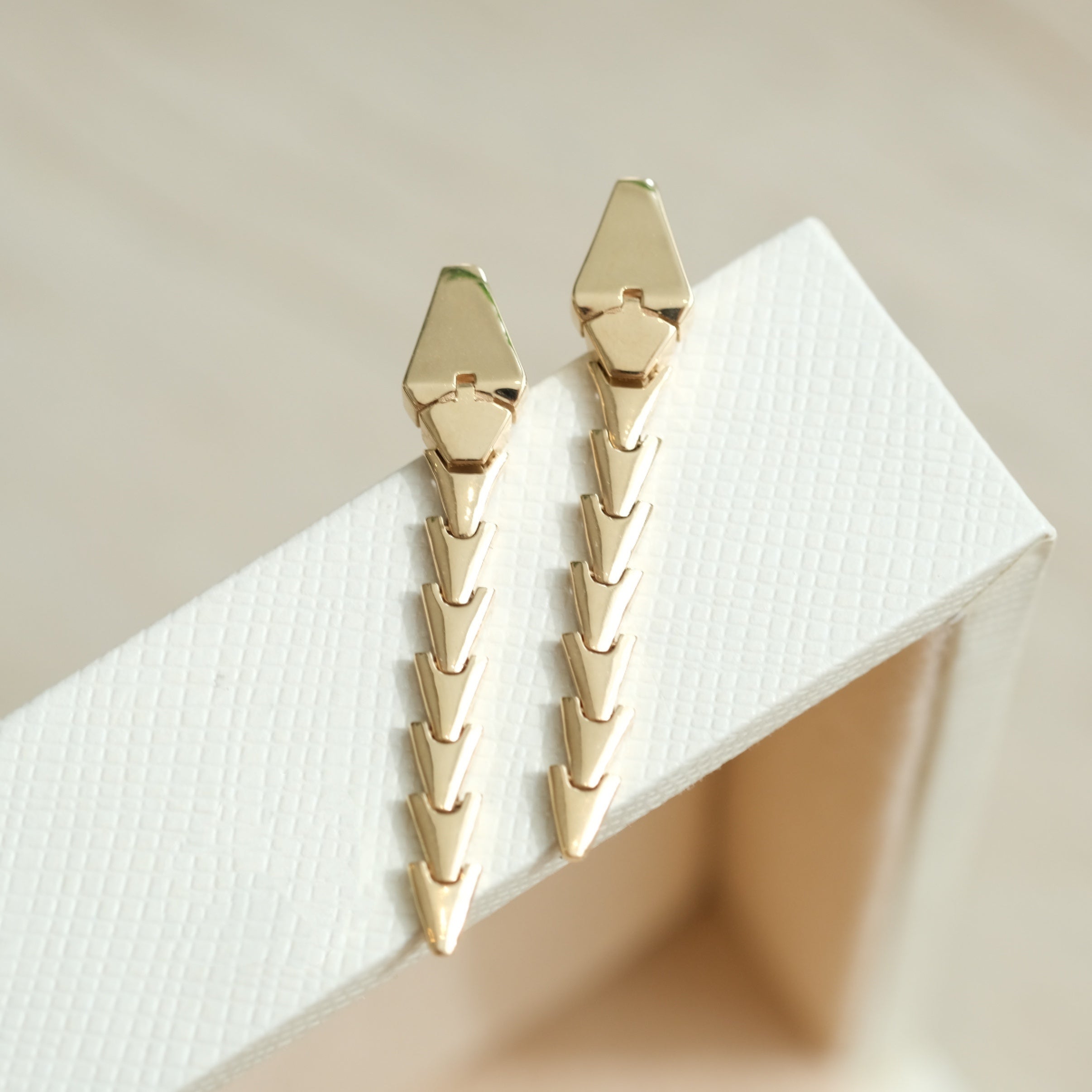 Snake Bone Earrings