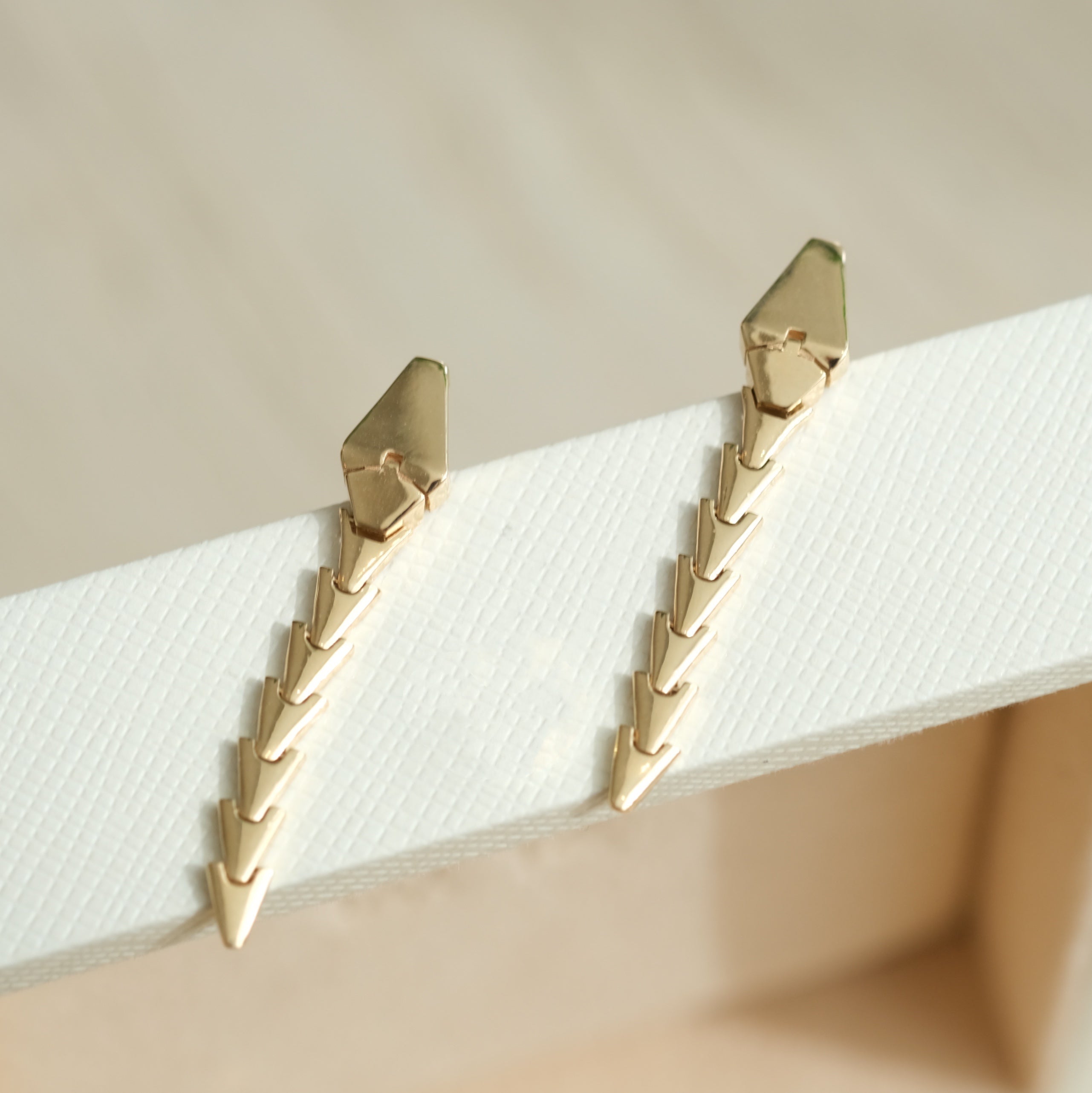 Snake Bone Earrings