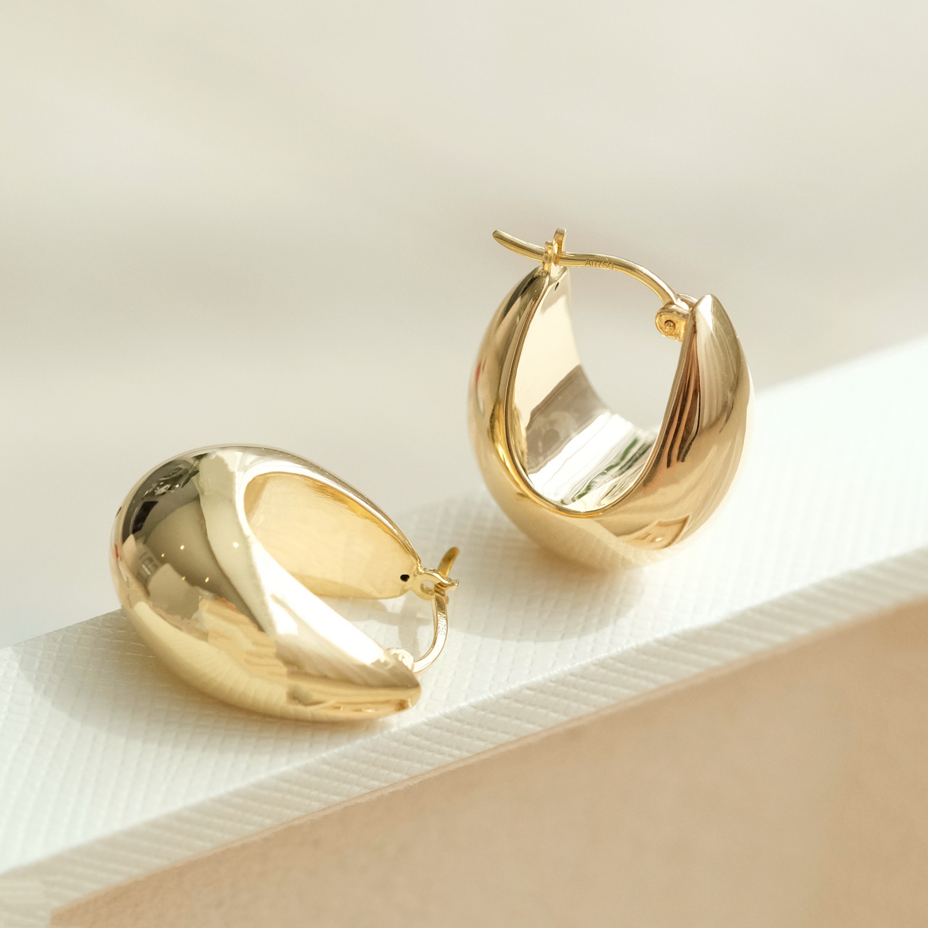 Sculptural Hoops