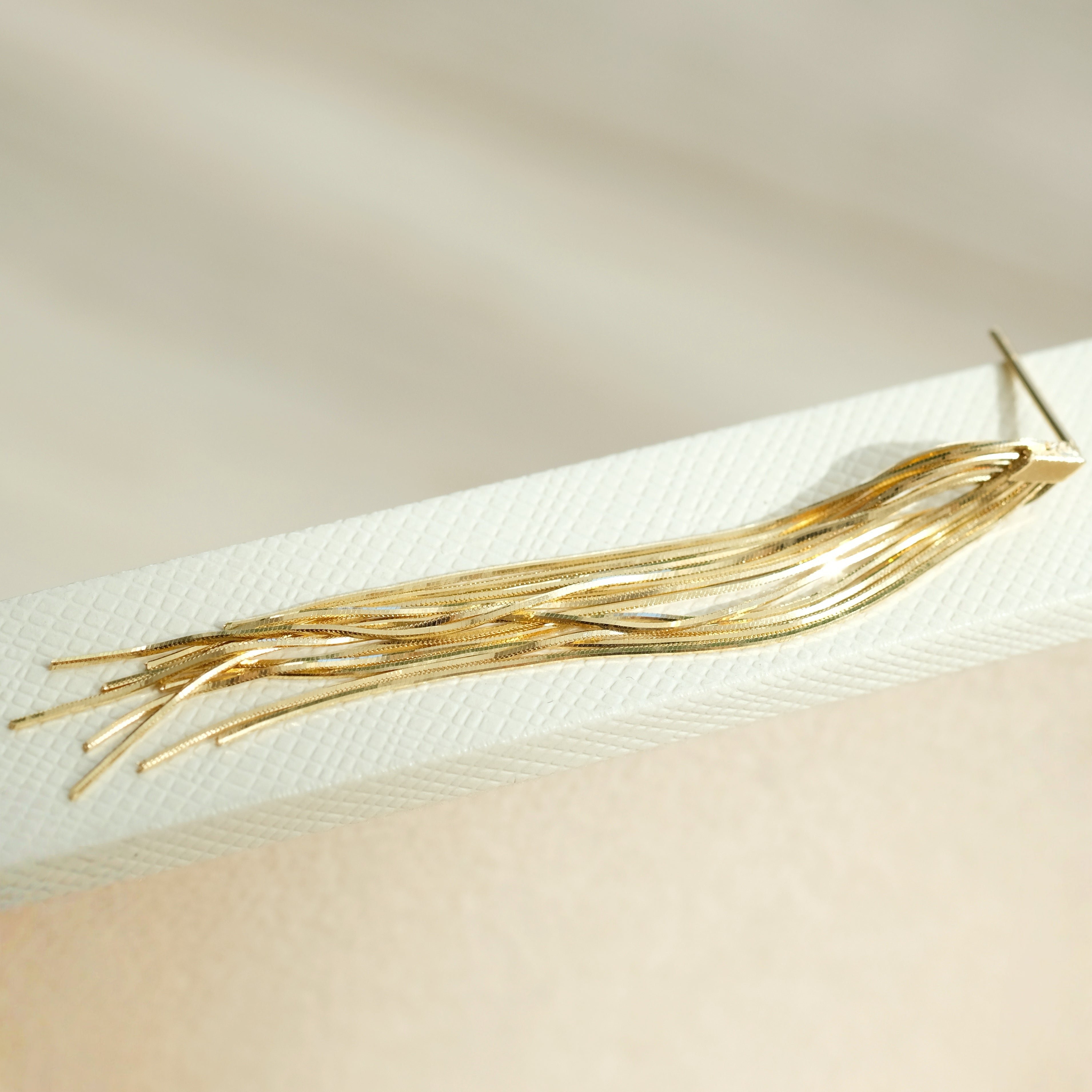 Long Tassel Earrings