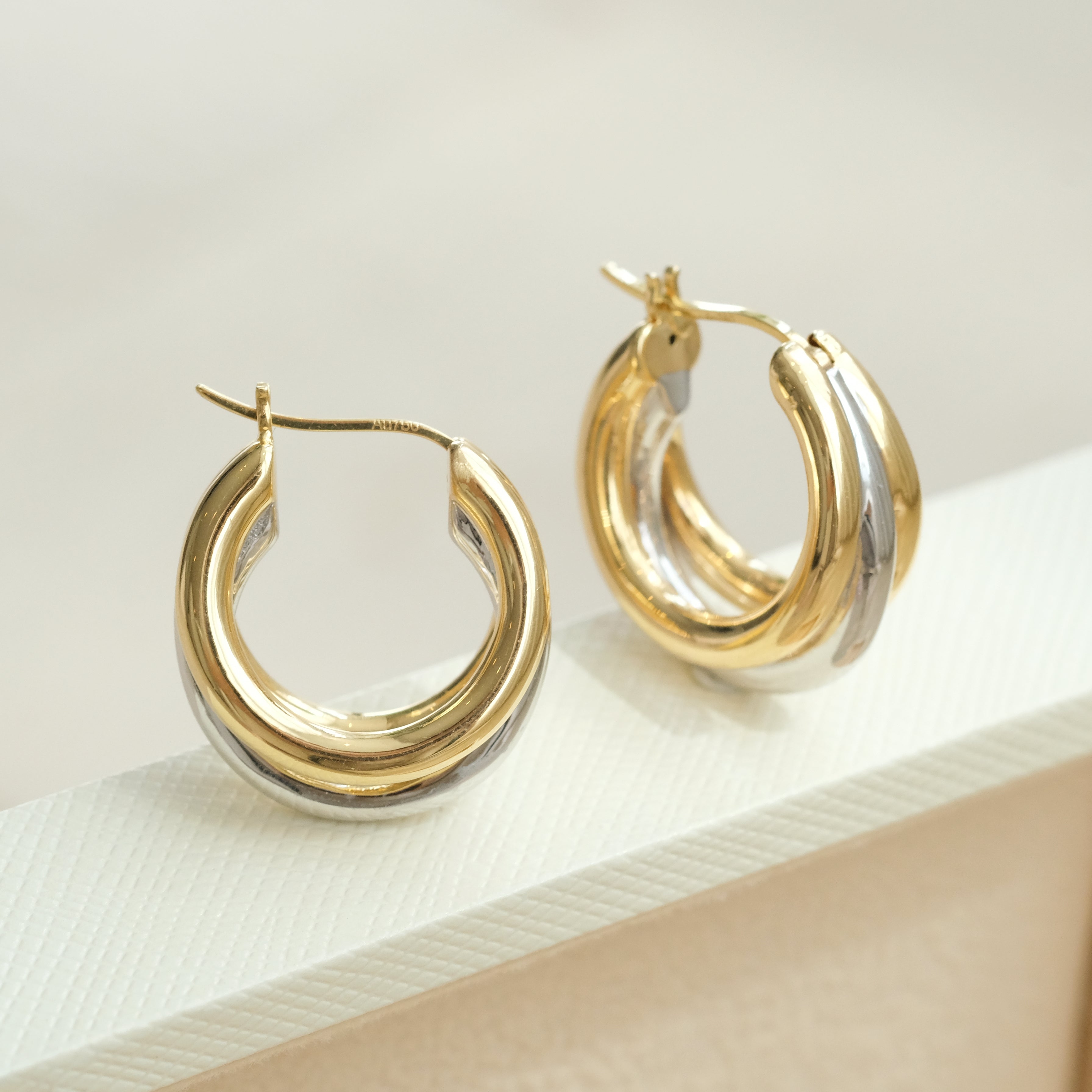 Trio Two Tone Circle Earrings