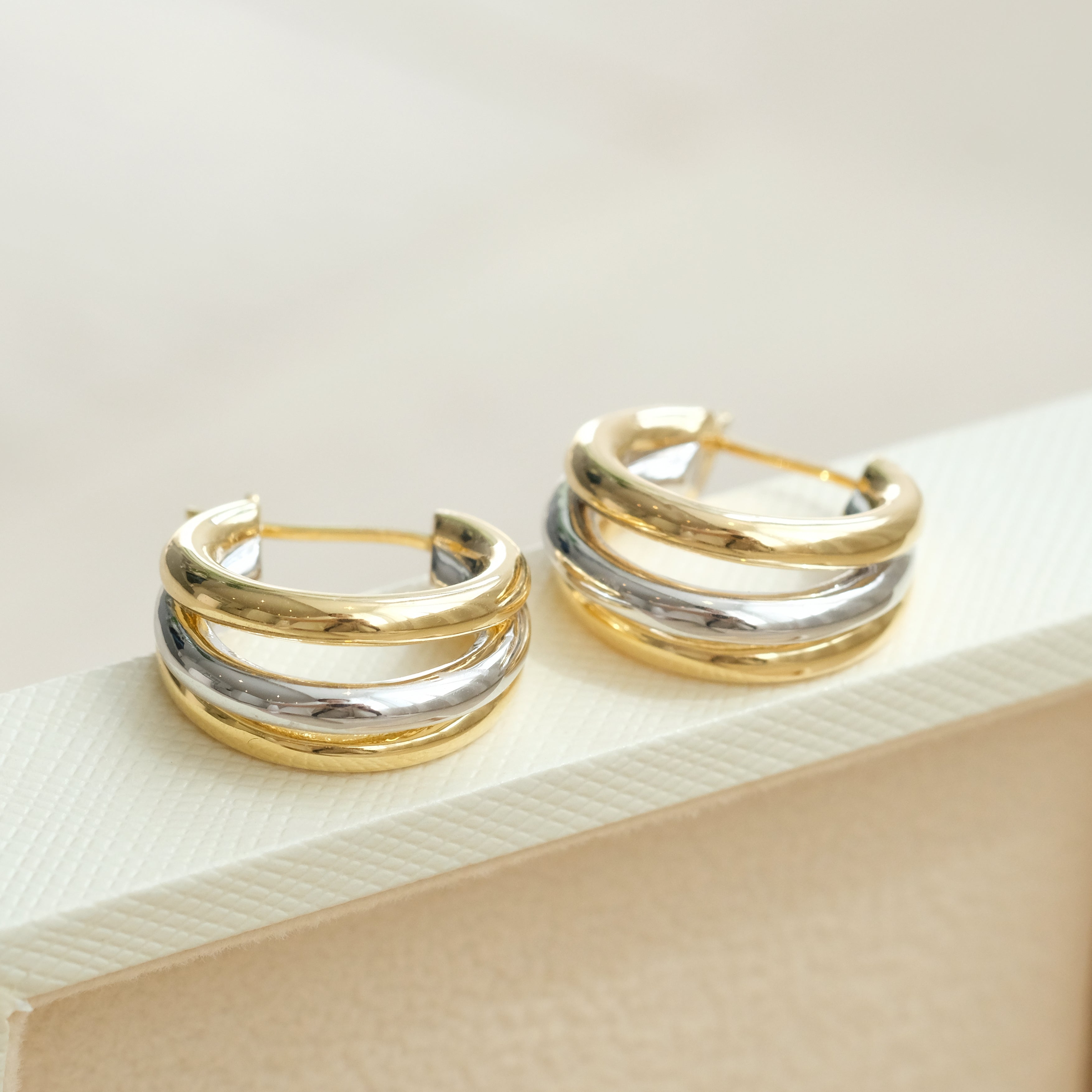 Trio Two Tone Circle Earrings
