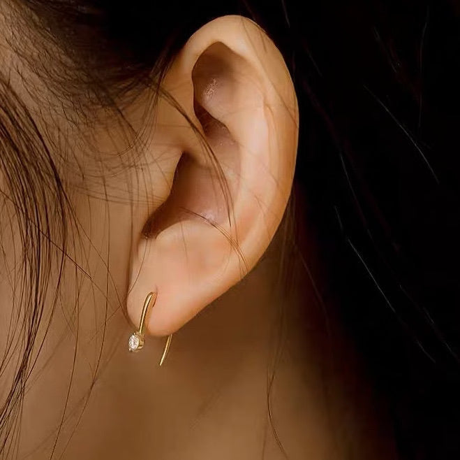 Mini Stone Hook Earrings