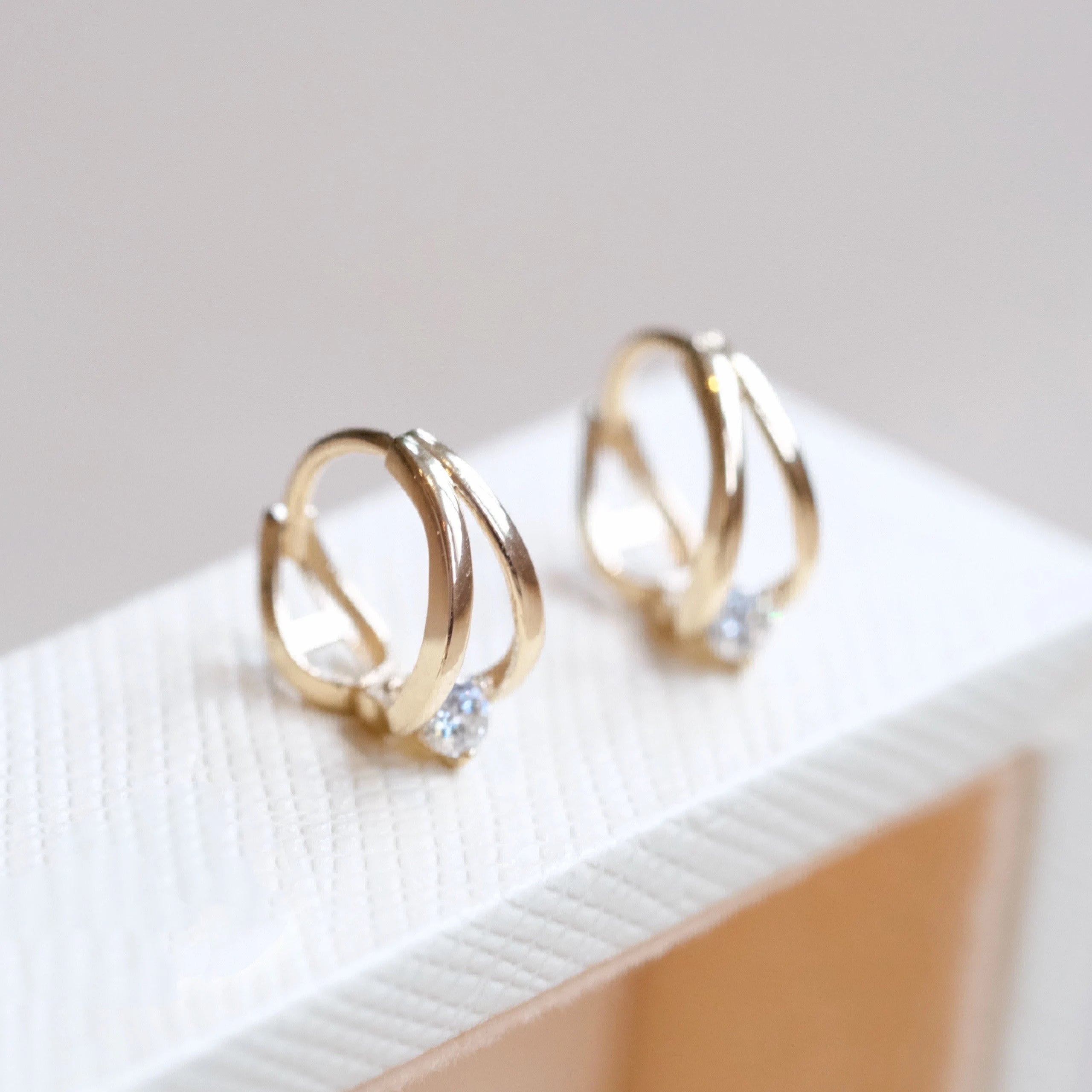 Double Hoop Earrings