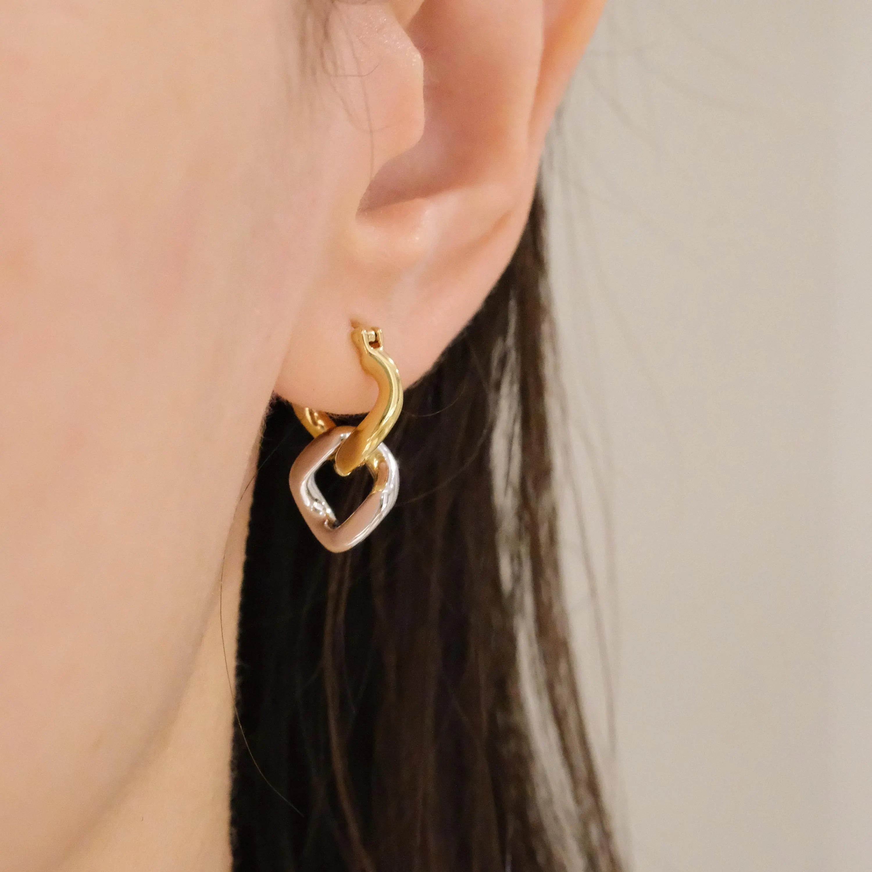 Two Tone Link Earrings