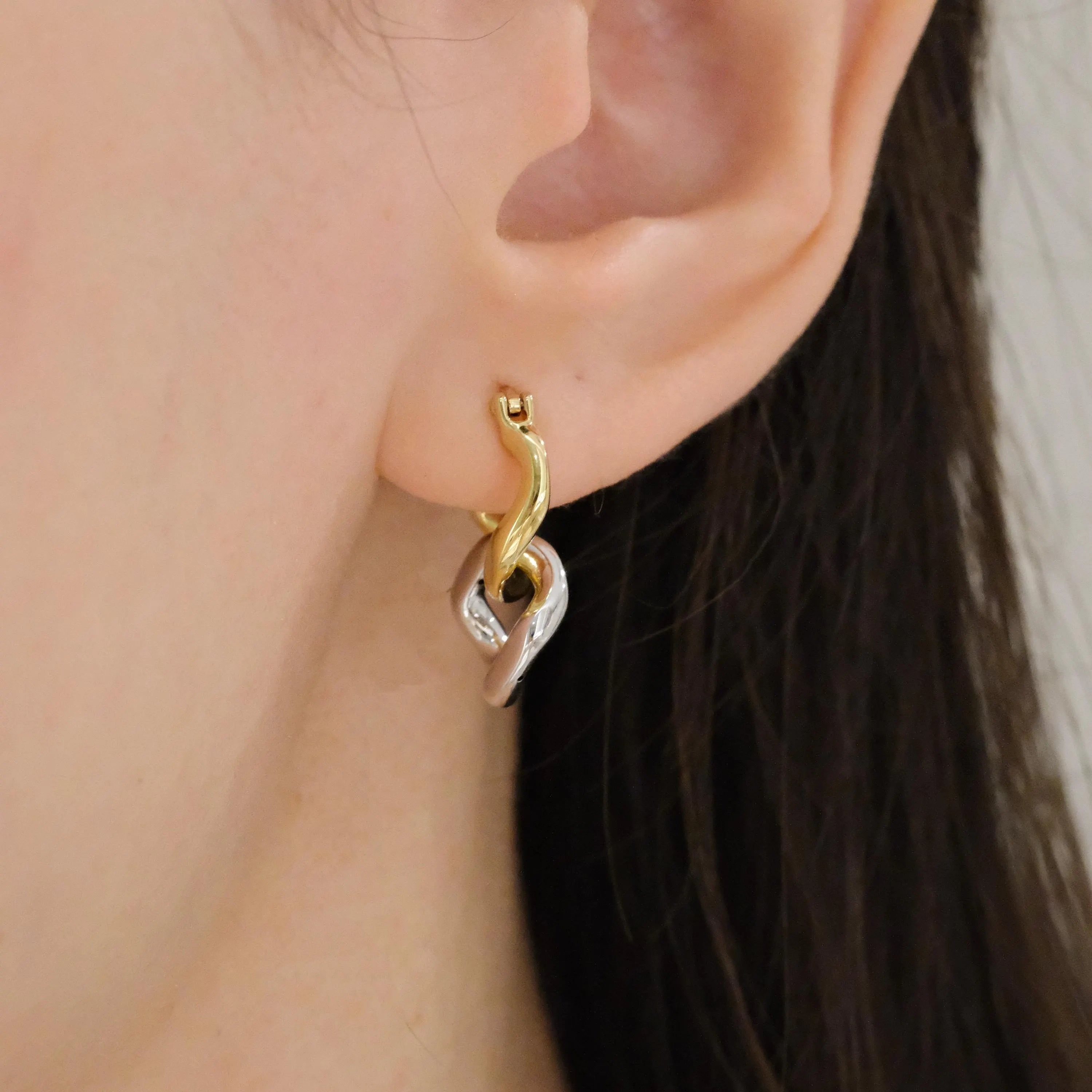 Two Tone Link Earrings