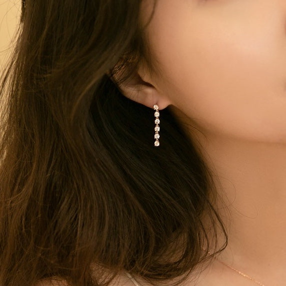 Dangling Crystal Earrings